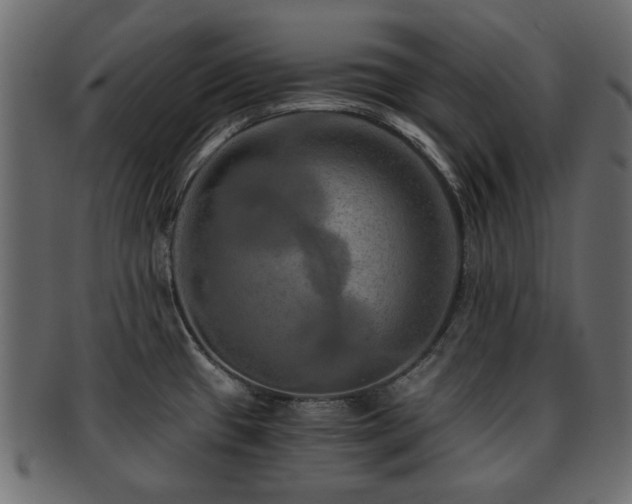 X0000093101433200709261222