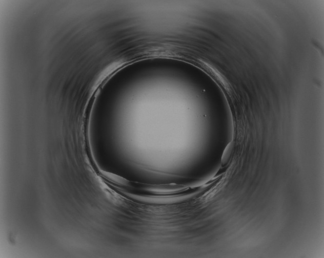 X0000093101434200709261222