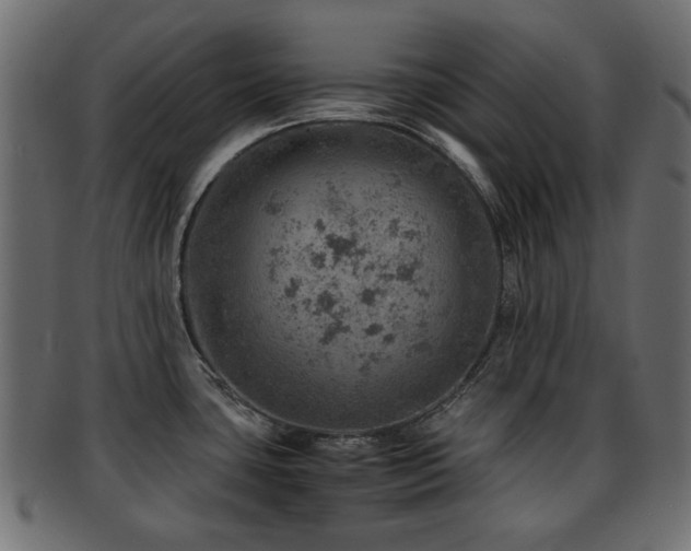 X0000093101435200709261222