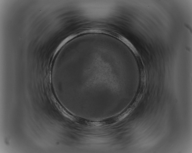 X0000093101436200709261222