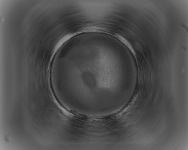 X0000093101437200709261222