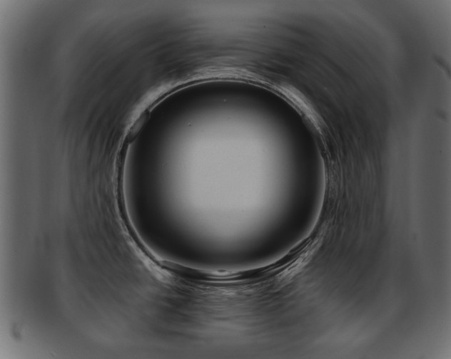 X0000093101438200709261222