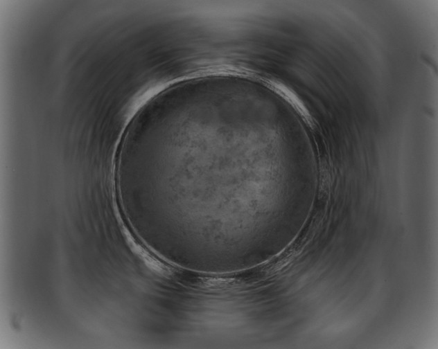 X0000093101439200709261222