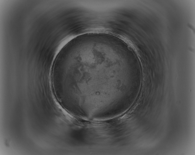 X0000093101440200709261222