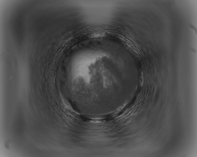 X0000093101441200709261221