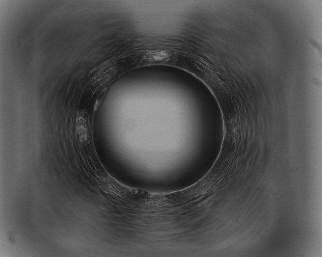 X0000093101442200709261221