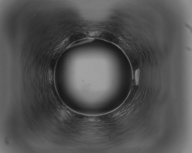 X0000093101443200709261221