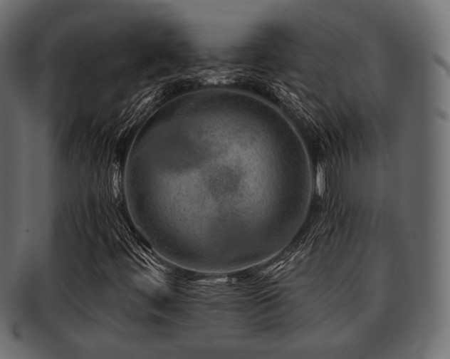 X0000093101444200709261221