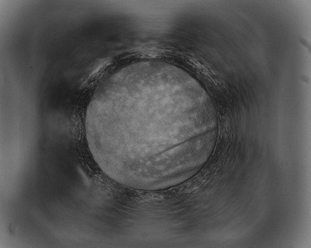 X0000093101446200709261221