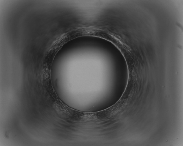 X0000093101447200709261221
