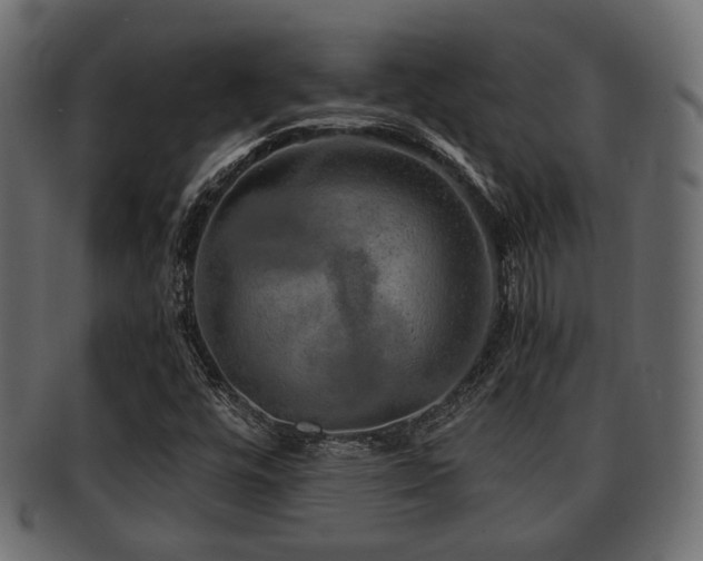 X0000093101448200709261221