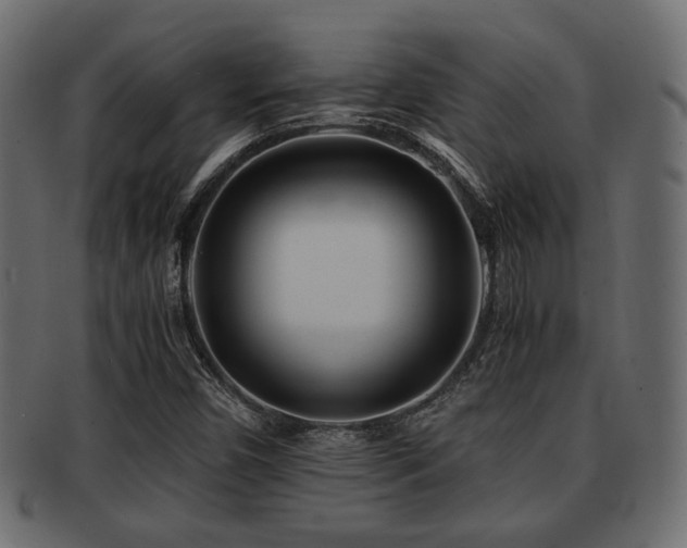 X0000093101450200709261221