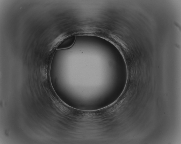 X0000093101451200709261221