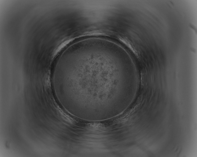 X0000093101452200709261221