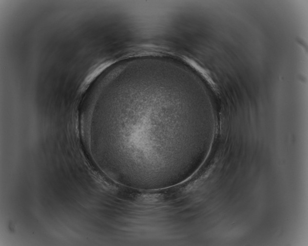 X0000093101453200709261221
