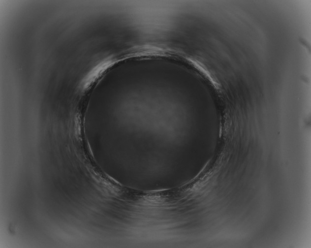 X0000093101455200709261221