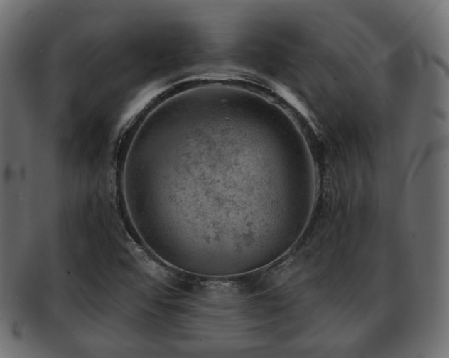 X0000093101456200709261221
