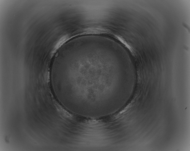 X0000093101459200709261221