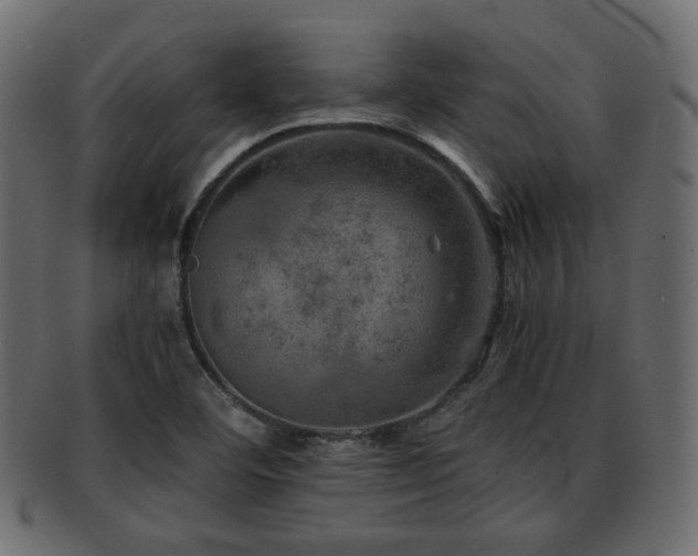 X0000093101460200709261221