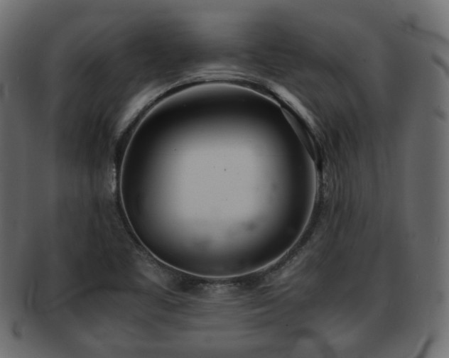 X0000093101461200709261221