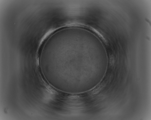 X0000093101462200709261221