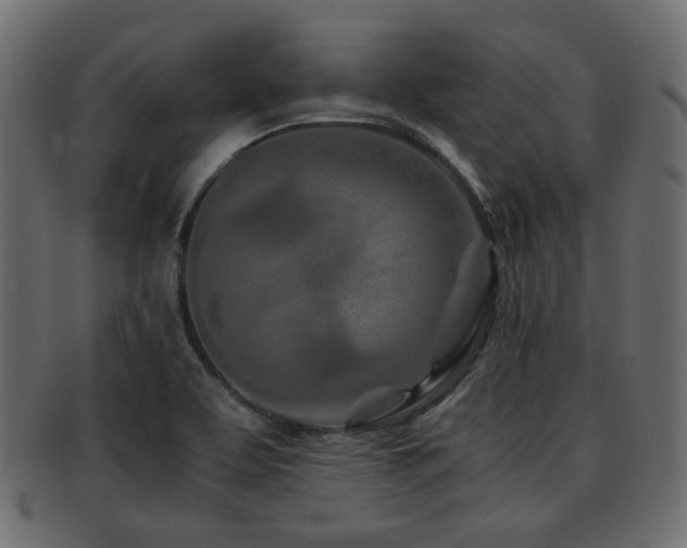 X0000093101463200709261221
