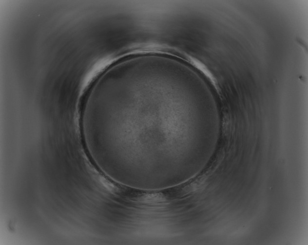 X0000093101464200709261221