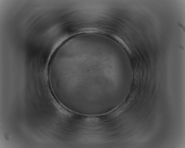 X0000093101466200709261221