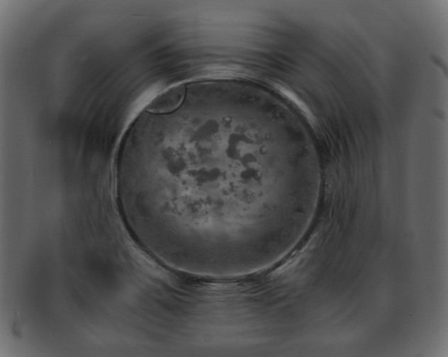 X0000093101467200709261221