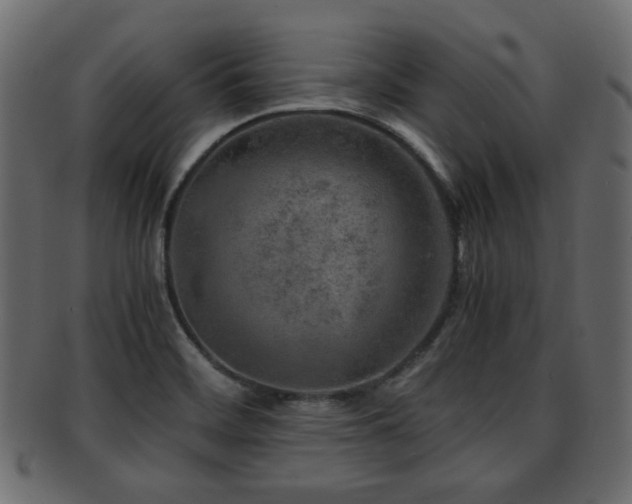 X0000093101468200709261221
