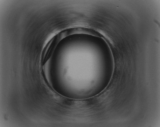 X0000093101469200709261221
