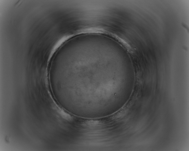 X0000093101470200709261221