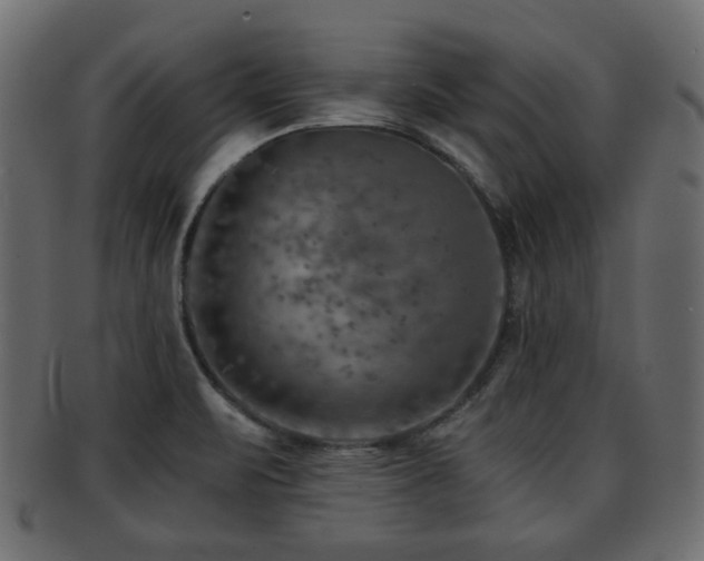 X0000093101471200709261221