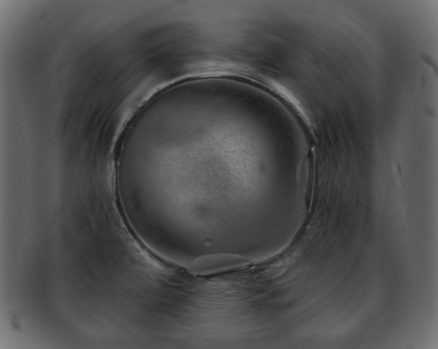 X0000093101472200709261221