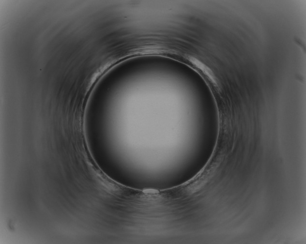 X0000093101473200709261221