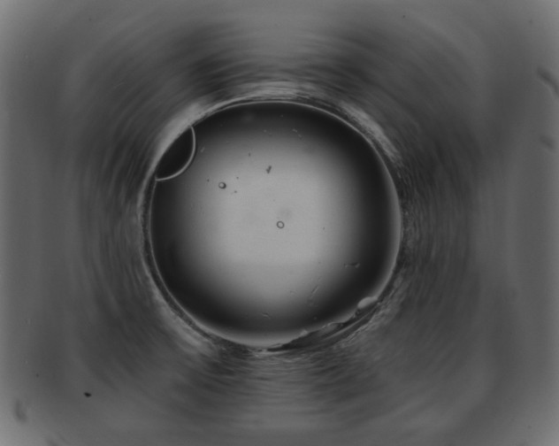 X0000093101475200709261221