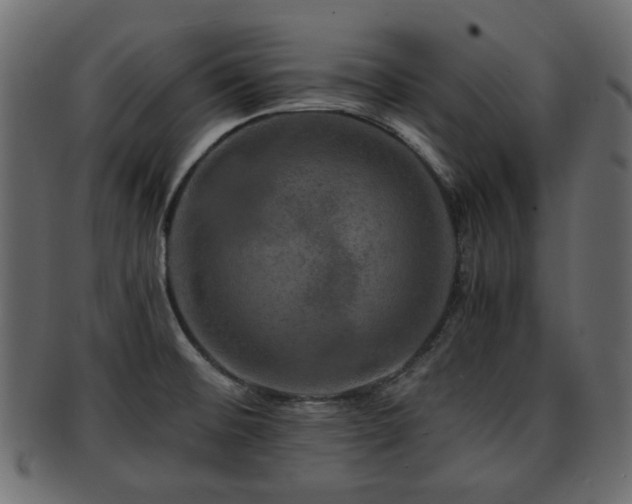 X0000093101476200709261221