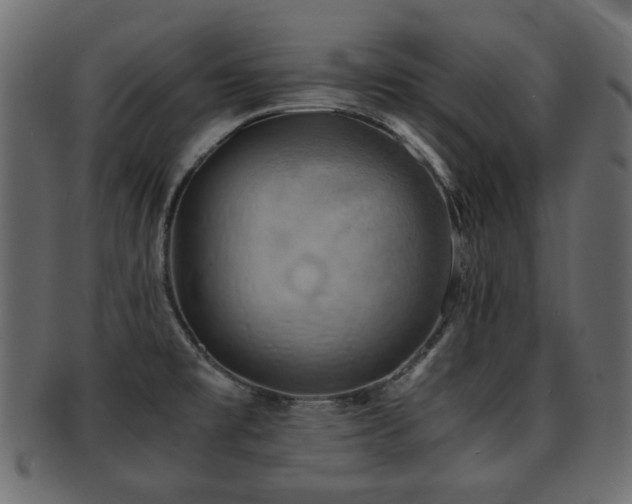 X0000093101477200709261221