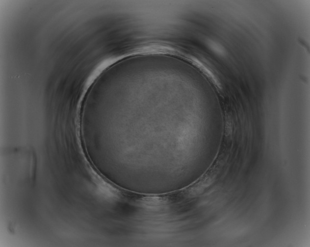 X0000093101478200709261221