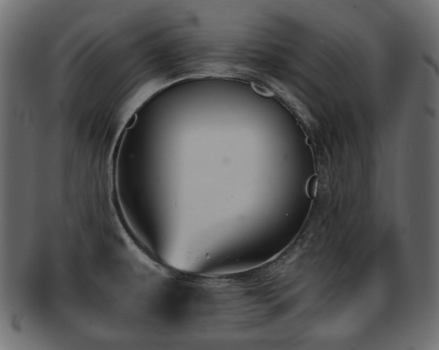 X0000093101479200709261221