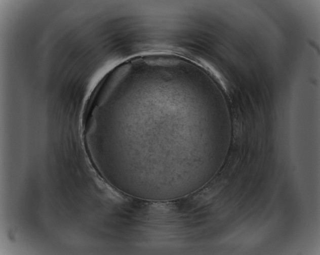 X0000093101480200709261221