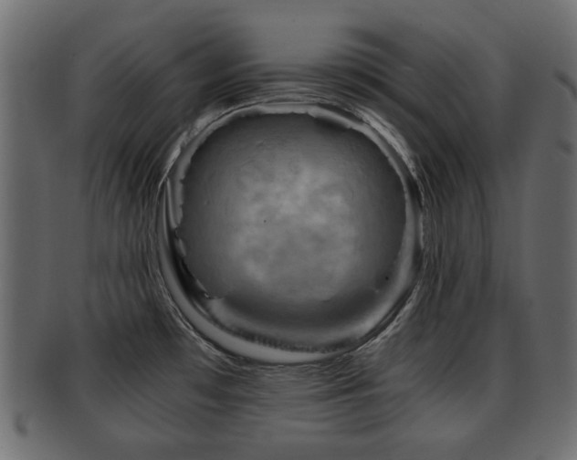 X0000093101481200709261221