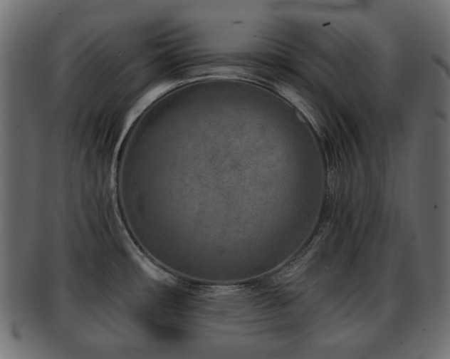 X0000093101482200709261221