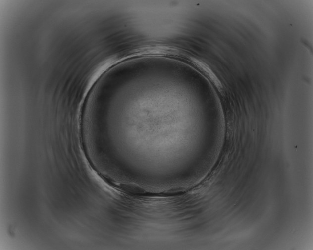 X0000093101483200709261221