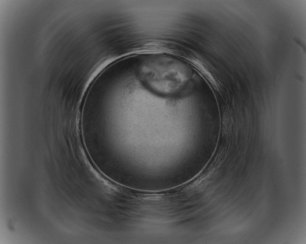 X0000093101484200709261220