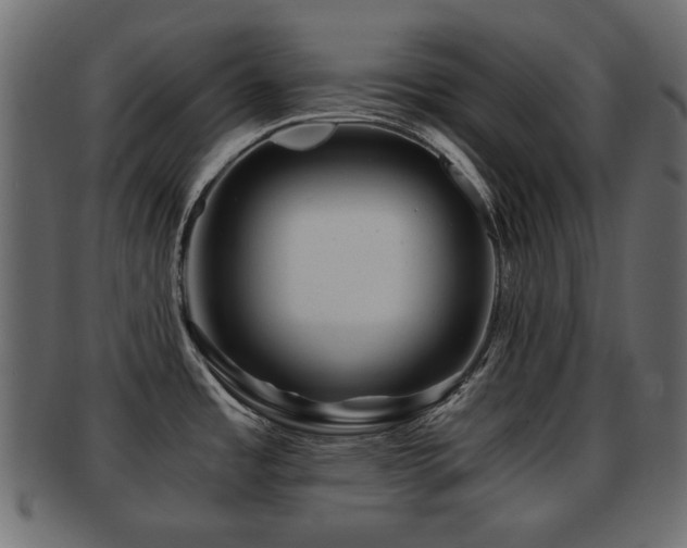X0000093101485200709261220