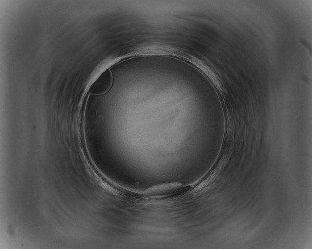X0000093101486200709261220