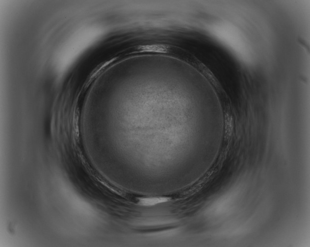 X0000093101487200709261220