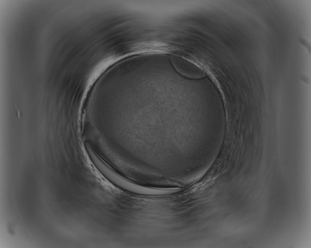 X0000093101488200709261220