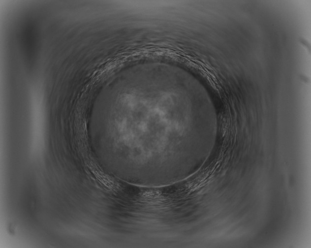 X0000093101489200709261220